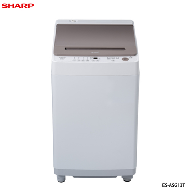 SHARP 夏普 ES-ASG13T 無孔槽變頻洗衣機 13kg 海豚迴轉盤 筒槽自動清洗
