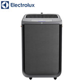 Electrolux 伊萊克斯 EP51-45DGA 極適家居500 全淨涼風 清淨機寧靜灰